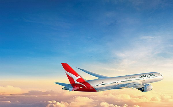 Contact Us Nib Travel Insurance