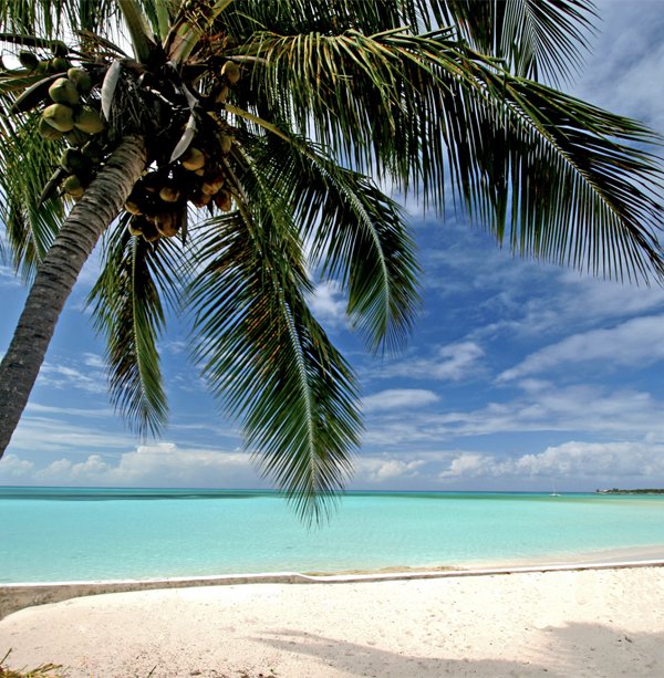 BAHAMAS Winter Haven  30% Airline Staff Discount