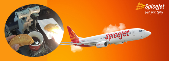 Two SpiceJets pilots grounded after image went viral