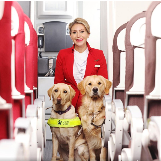 Virgin Atlantic is introducing a pawfect partnership with Guide Dogs UK 🦮 🐾