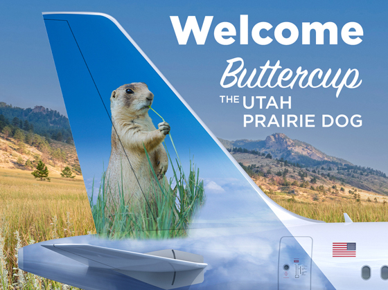 Buttercup the Utah Prairie Dog, the newest member of Frontiers Fleet