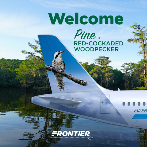 Pine, the Red-cockaded Woodpecker