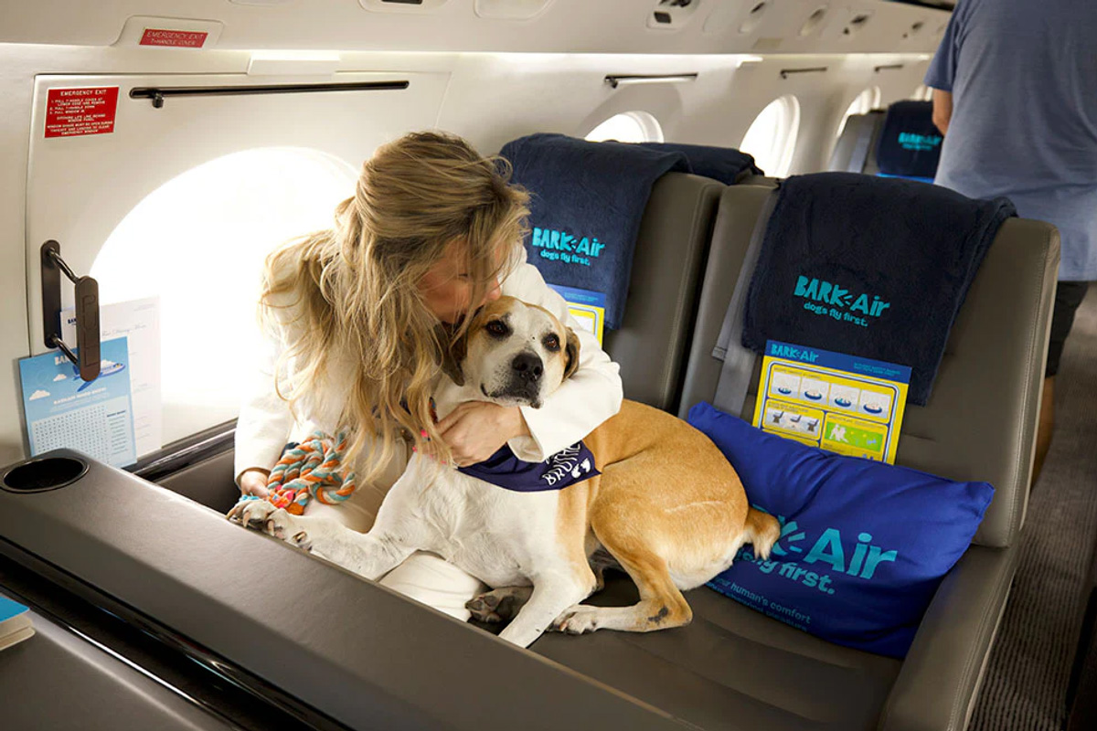 BARK Air is here to deliver a pawsome experience